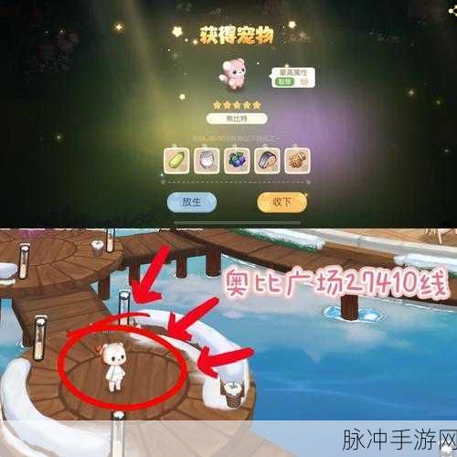 奥比岛宠物捕捉全解析,成为捕捉大师的秘籍