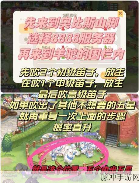 奥比岛宠物捕捉全解析,成为捕捉大师的秘籍