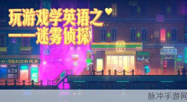 网络迷雾中的侦探,IP地址显示扩展程序全揭秘
