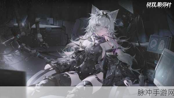 战双帕弥什尼尔·A2,实战技巧与队伍站位全解析