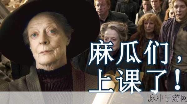 哈利波特魔法觉醒,揭秘米勒娃·麦格的珍藏之旅