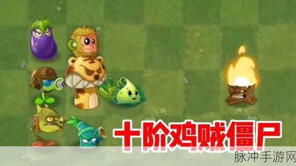 植物大战僵尸2火鸡投手,投掷火鸡的战斗高手