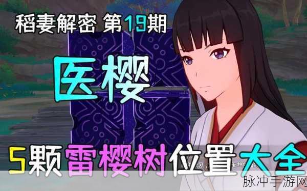 原神医樱树探寻之旅,位置分布与攻略秘籍