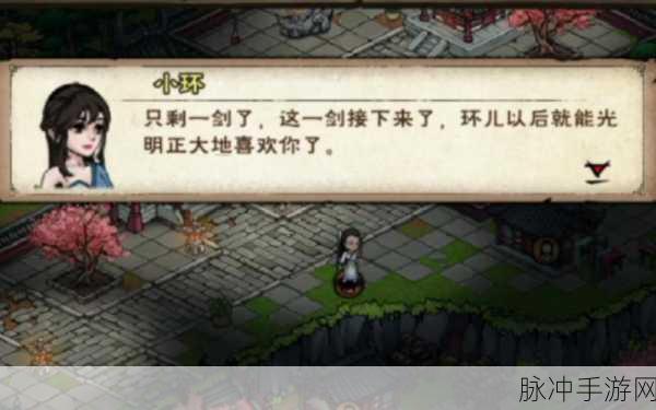 烟雨江湖深度解析,揭开小环的秘密任务攻略
