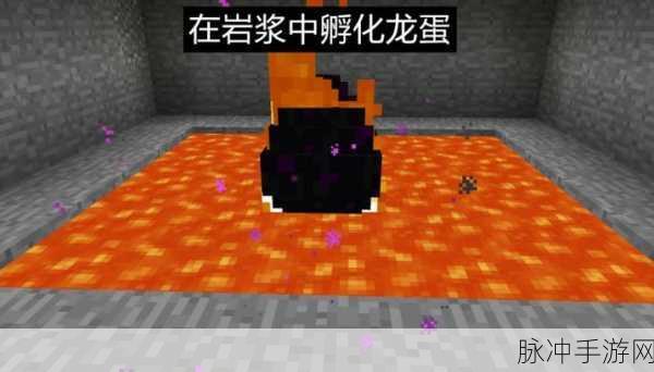 我的世界手机版,揭秘末影龙蛋的孵化奥秘