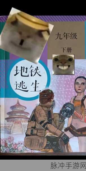 地铁逃生画质大比拼,解锁最佳游戏体验的视觉秘籍