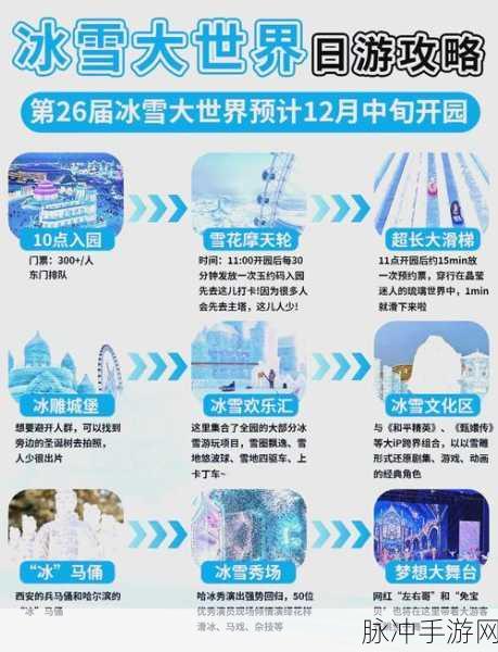 摩尔庄园雪球滚滚,玩转冰雪世界的秘籍大公开