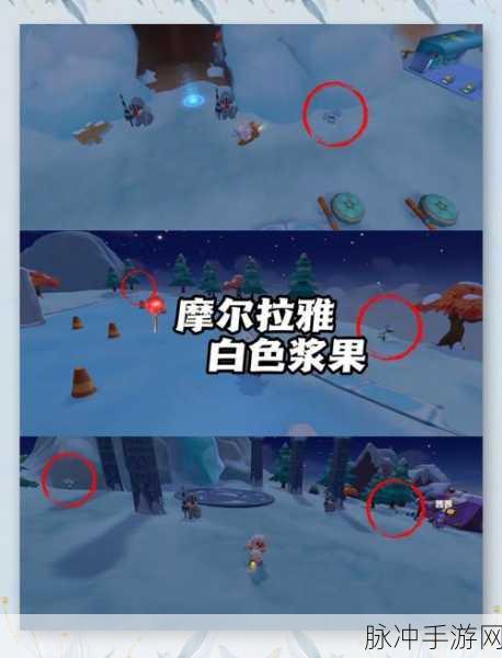 摩尔庄园手游,开垦土地复原全攻略