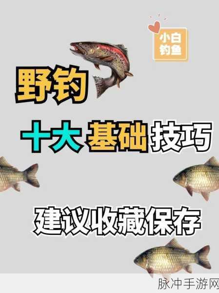 海岛纪元钓鱼秘籍,解锁钓鱼技巧与玩法