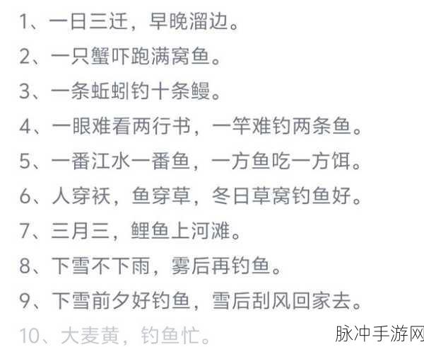 海岛纪元钓鱼秘籍,解锁钓鱼技巧与玩法
