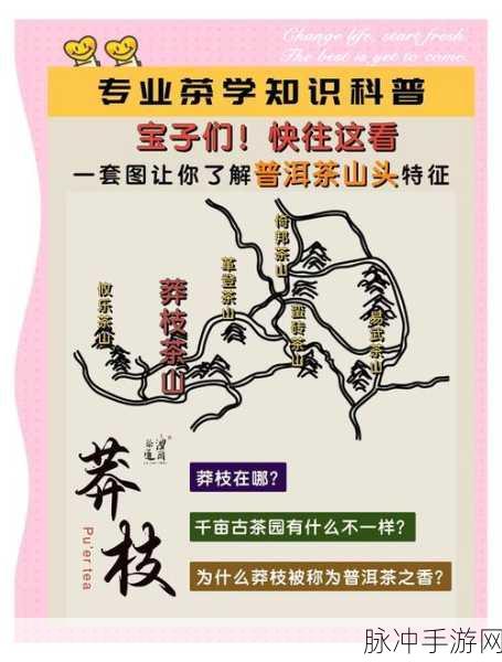 一梦江湖采茶奇遇全攻略,解锁茶记任务的秘密