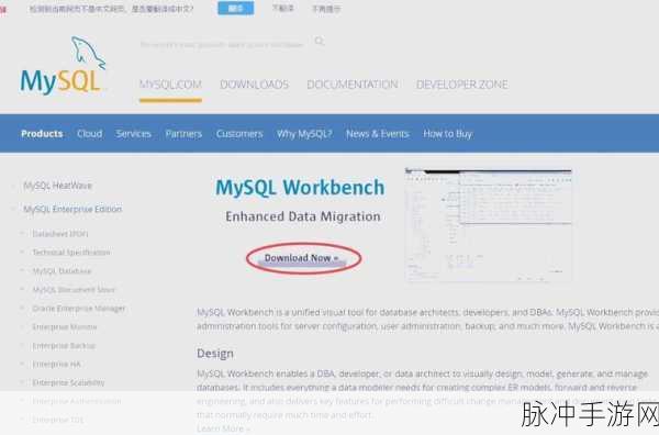 MySQL安装与配置秘籍,手游开发者必备神器