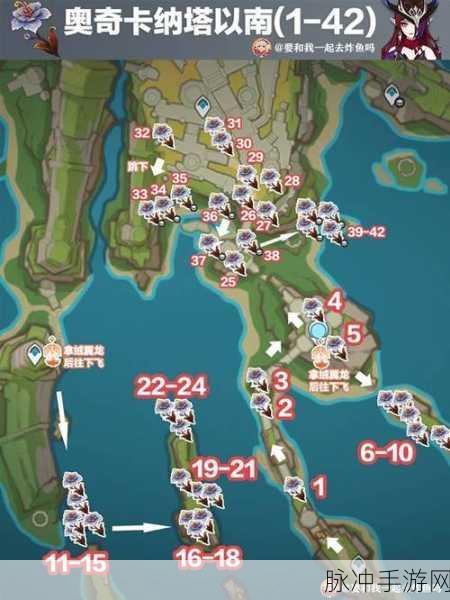 原神恶王丸突破材料深度剖析,从新手到高手的全方位攻略