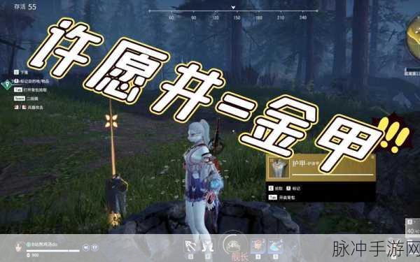 永劫无间祈愿井,解锁随机惊喜的神奇机关