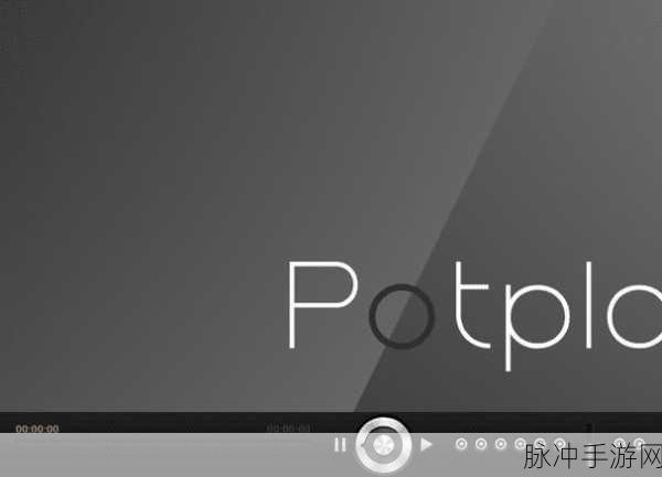 Daum PotPlayer,革新视频播放体验,手游玩家必备神器
