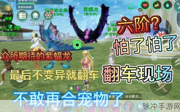创造与魔法紫蝠龙合成全攻略