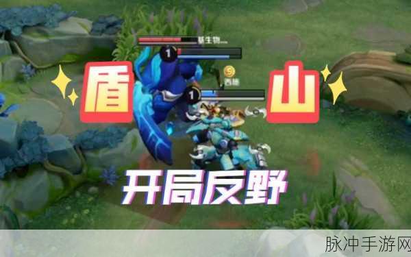 王者荣耀盾山无限盾bug,玩家热议与官方应对