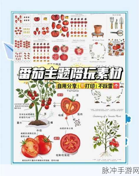 小森生活探索指南,揭秘榛菇刷新位置