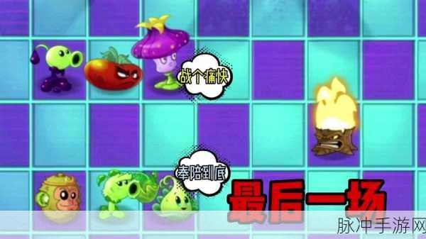 植物大战僵尸一次性植物大招实战攻略