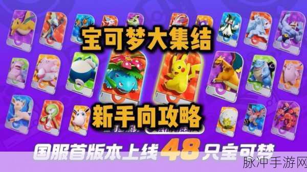 宝可梦大集结新手启航秘籍,从零开始的完美征程