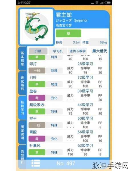 口袋妖怪,揭秘物理攻击与特殊攻击的绝招奥秘