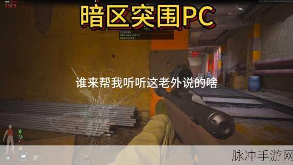 暗区突围,揭秘杀队友惩罚机制,维护游戏公平秩序