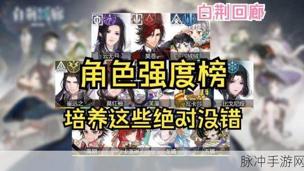 白荆回廊瞳强度全揭秘,实力评估与攻略宝典