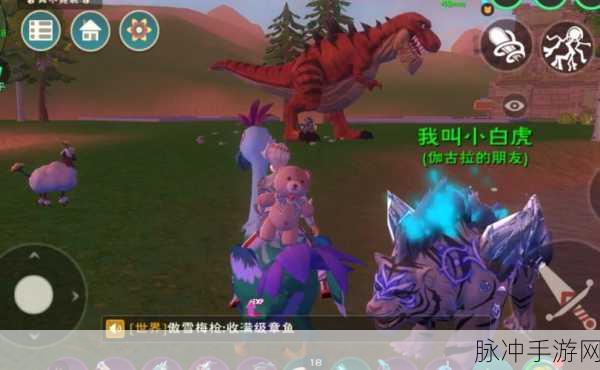 创造与魔法竹笋刷新频率及时间全攻略
