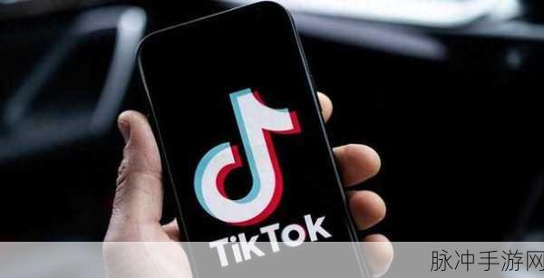 TikTok美国服务惊魂12小时,停机风波与极速归来的背后故事