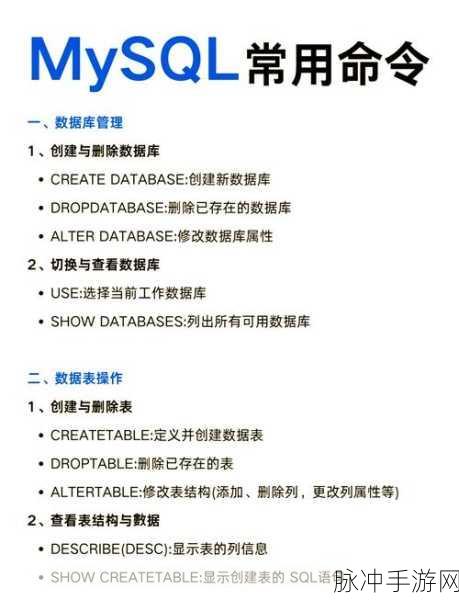 MySQL数据库,手游开发者背后的守护神——库管理与安全秘籍