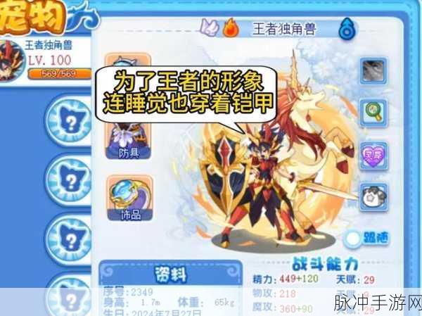 洛克王国奇妙屋寻宝任务全攻略