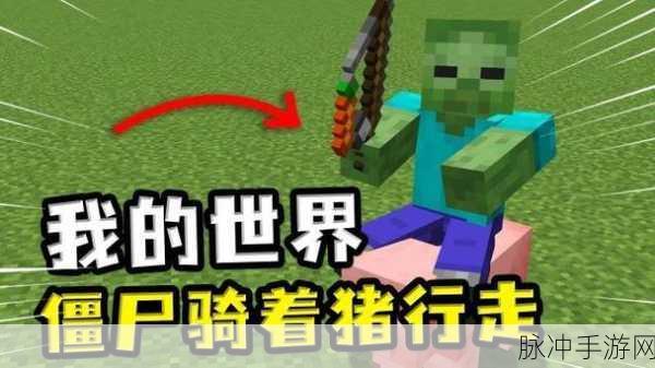 我的世界，揭秘刷猪箱变身僵尸刷怪箱的神奇技巧