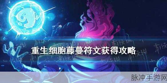 重生细胞,揭秘牧羊符文的神秘获取之旅