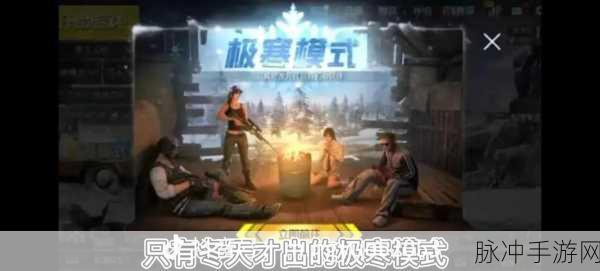 刺激战场报点艺术,精准传递信息,避免失误的实战技巧