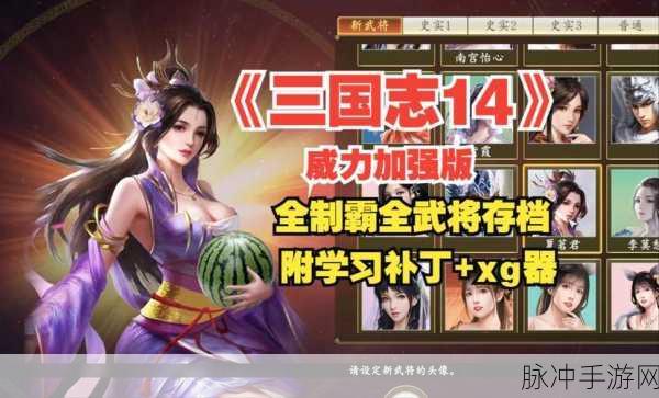三国志14威力加强版,深度剖析游戏魅力与玩法