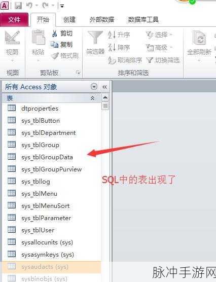 ADP脚本语言揭秘,手游数据大师背后的高效SQL整合术