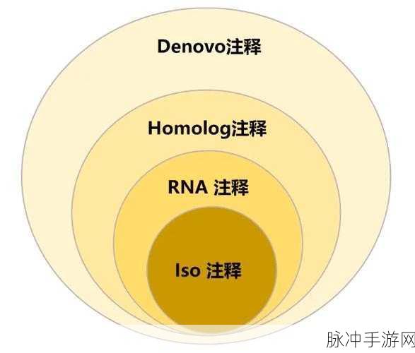 探索生命奥秘,GO注释与KEGG分析在基因列表中的深度应用