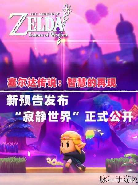 塞尔达传说智慧的再现,揭秘神秘心之大发夹的获取之道