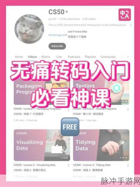 MediaCoder探秘,手游音视频转码的魔法工坊