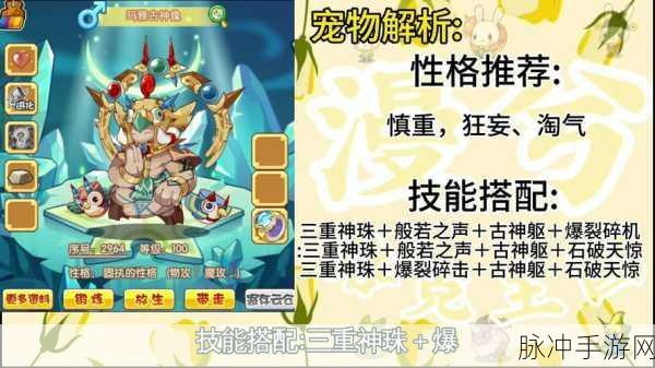 洛克王国高级训练师边框秘籍,让你的宠物展示更炫酷!