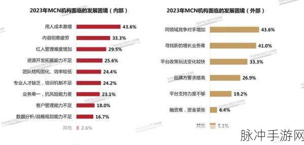 商业浪潮下的手游开发,玩家视角下的挑战与破局