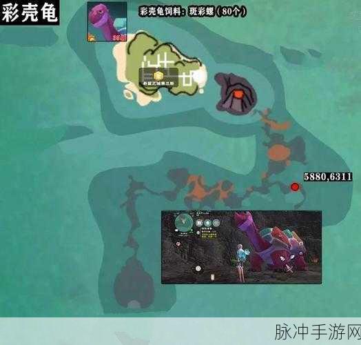 探寻创造与魔法彩壳龟与熔岩海龟的神秘栖息地