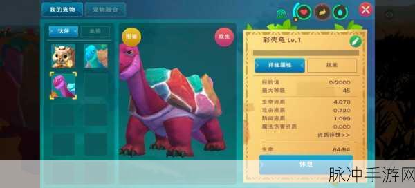 探寻创造与魔法彩壳龟与熔岩海龟的神秘栖息地