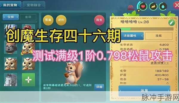 创造与魔法,解锁松鼠进阶碎片的全面攻略