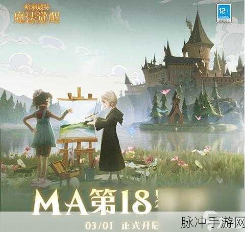 哈利波特,魔法觉醒,迎战黑巫师,策略与攻略大揭秘