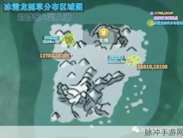 创造与魔法,冰龙草位置更新全解析