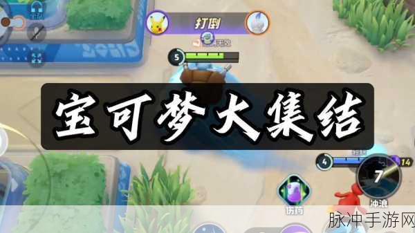 宝可梦大集结,训练家等级飞升秘籍