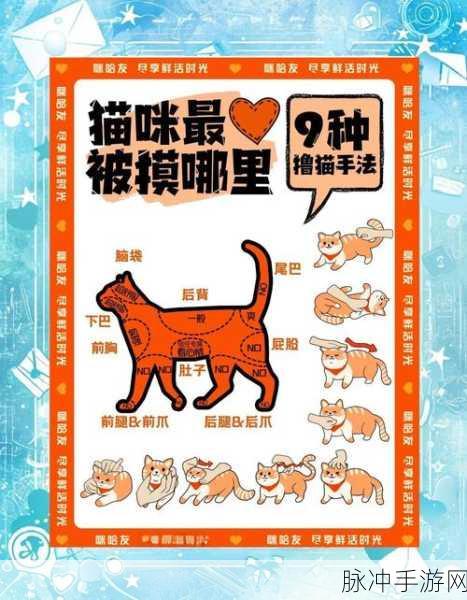 甜甜的你手游猫咪助力提升影响力的秘籍