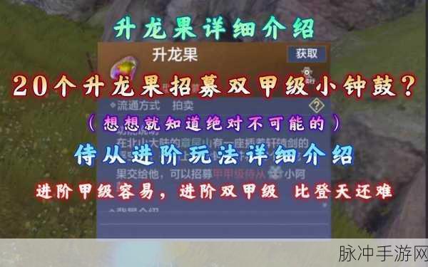 妄想山海小钟鼓获取全攻略,解锁神秘侍从的秘籍