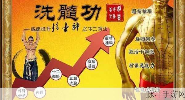大千世界深度揭秘,洗髓经秘籍的终极奥义何在?